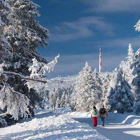 Ferienwohnung Arnika Inklusive Waeschepaket Braunlage Kültér fotó