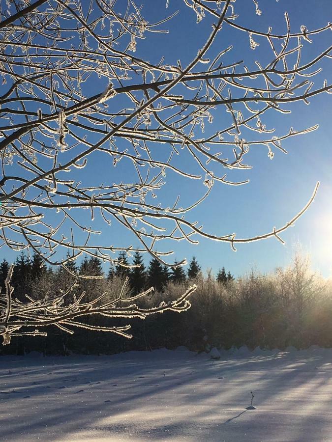 Ferienwohnung Arnika Inklusive Waeschepaket Braunlage Kültér fotó