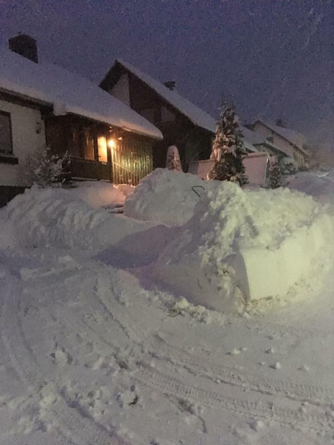 Ferienwohnung Arnika Inklusive Waeschepaket Braunlage Kültér fotó