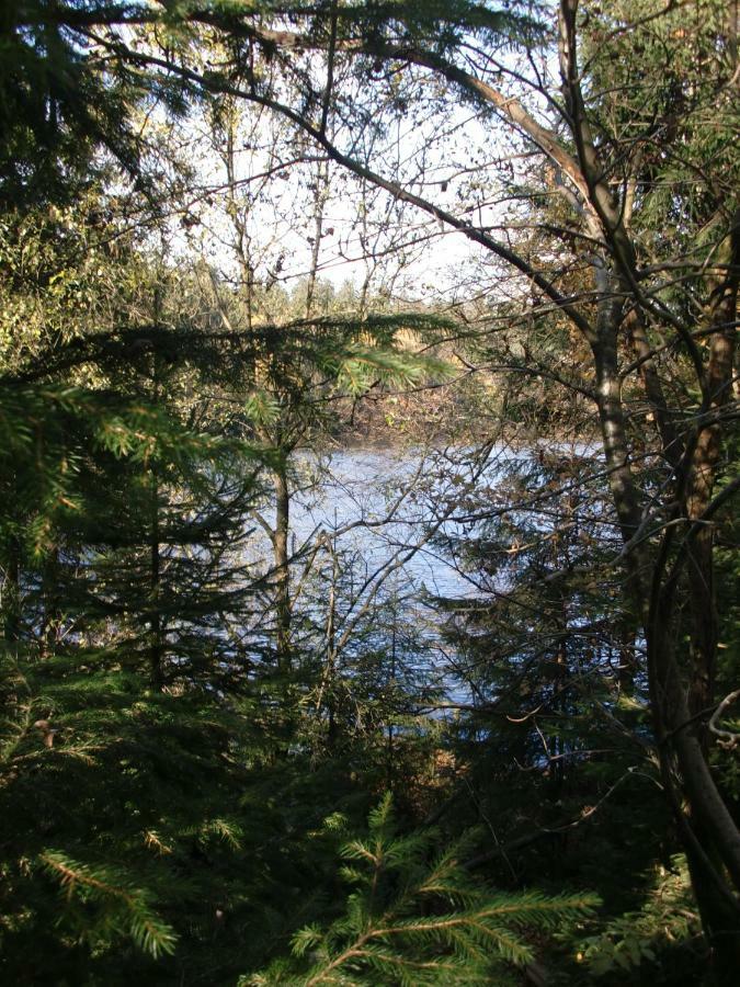 Ferienwohnung Arnika Inklusive Waeschepaket Braunlage Kültér fotó