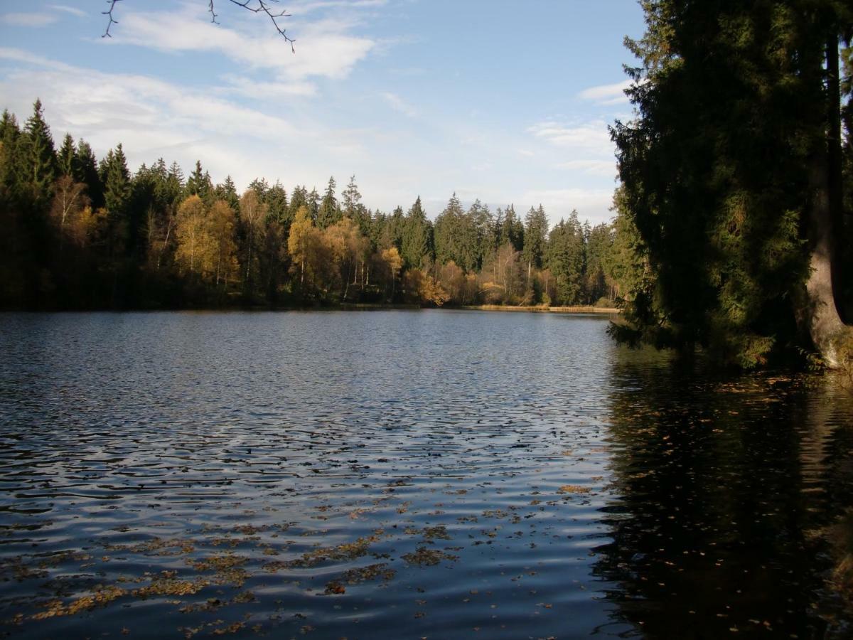 Ferienwohnung Arnika Inklusive Waeschepaket Braunlage Kültér fotó