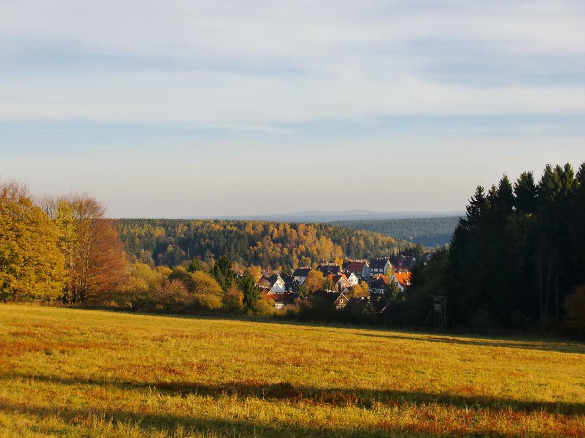 Ferienwohnung Arnika Inklusive Waeschepaket Braunlage Kültér fotó