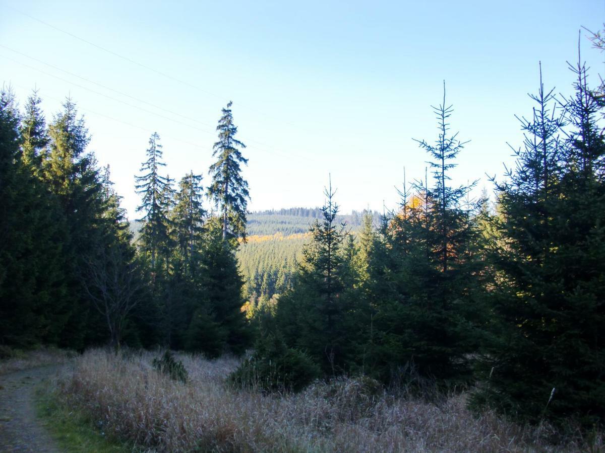 Ferienwohnung Arnika Inklusive Waeschepaket Braunlage Kültér fotó