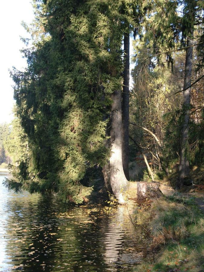 Ferienwohnung Arnika Inklusive Waeschepaket Braunlage Kültér fotó