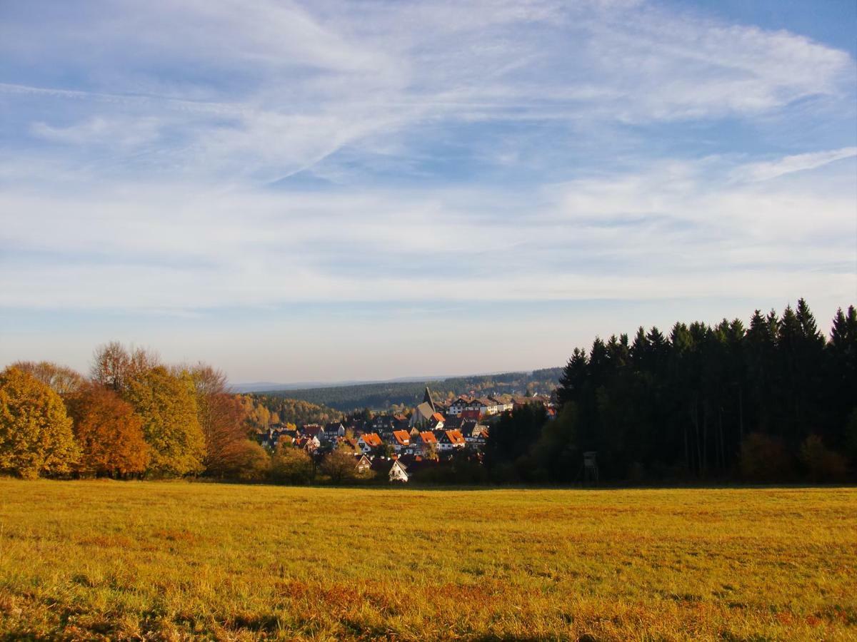 Ferienwohnung Arnika Inklusive Waeschepaket Braunlage Kültér fotó