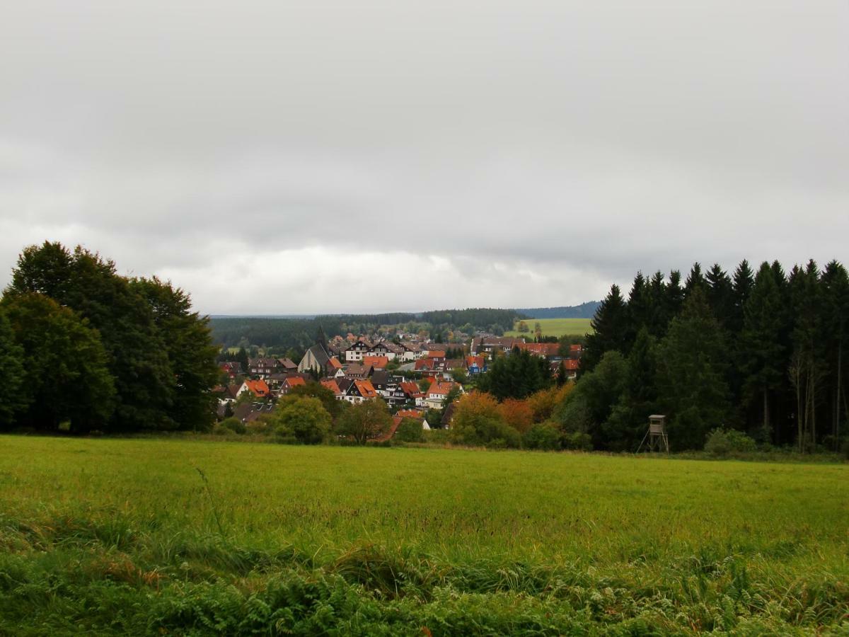 Ferienwohnung Arnika Inklusive Waeschepaket Braunlage Kültér fotó