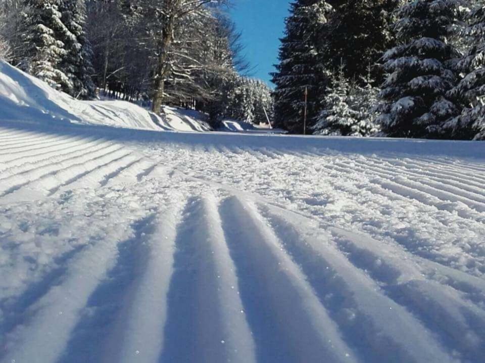 Ferienwohnung Arnika Inklusive Waeschepaket Braunlage Kültér fotó