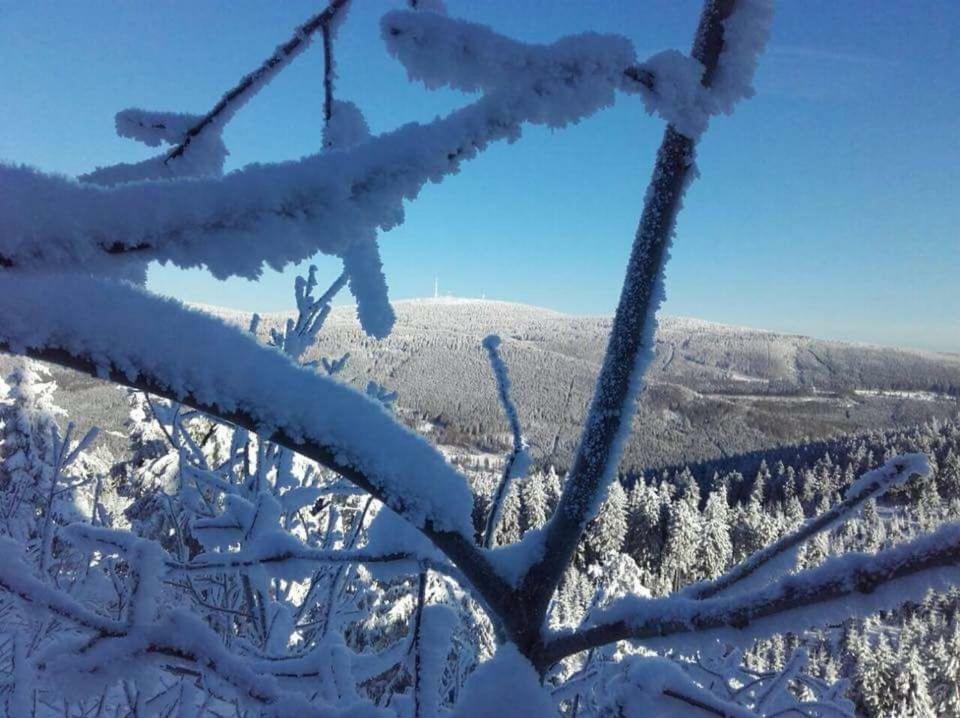 Ferienwohnung Arnika Inklusive Waeschepaket Braunlage Kültér fotó