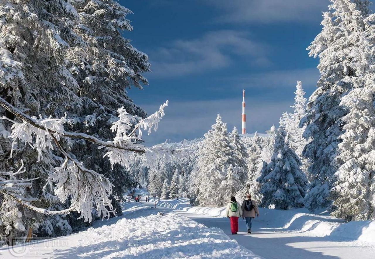 Ferienwohnung Arnika Inklusive Waeschepaket Braunlage Kültér fotó